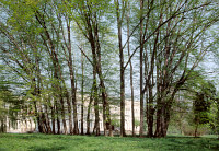 Zespół pałacowo-parkowy - fot. Igor Witowicz